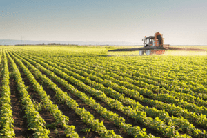 Certificats individuels produits phytopharmaceutiques renouvellement