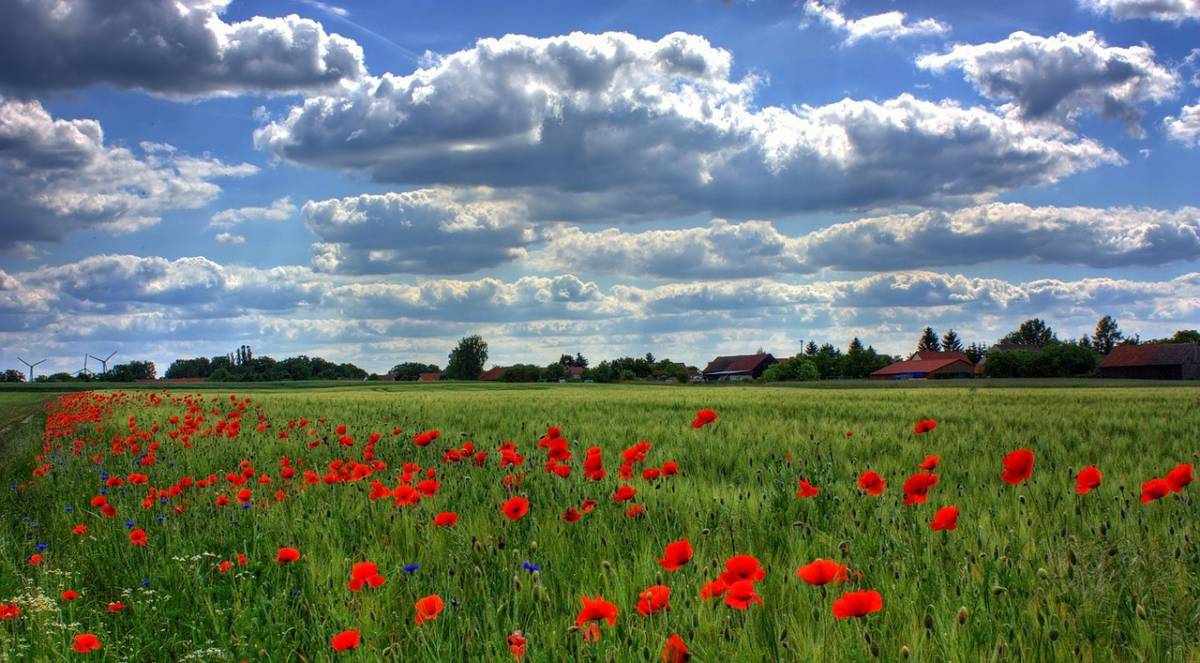sites naturels de compensation