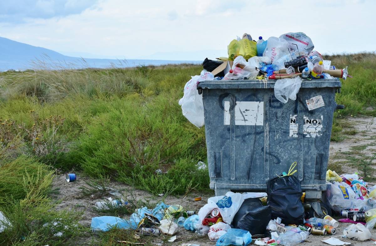 Produits en plastique à usage unique : précisions sur leurs modalités  d'interdiction - Red On Line (FR)