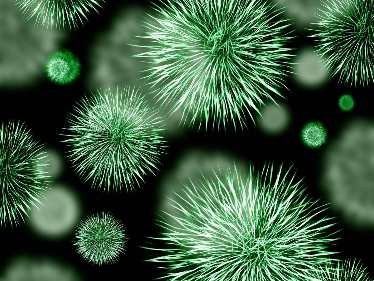 COVID-19: Addition of SARS-CoV-2 to the list of biological pathogens