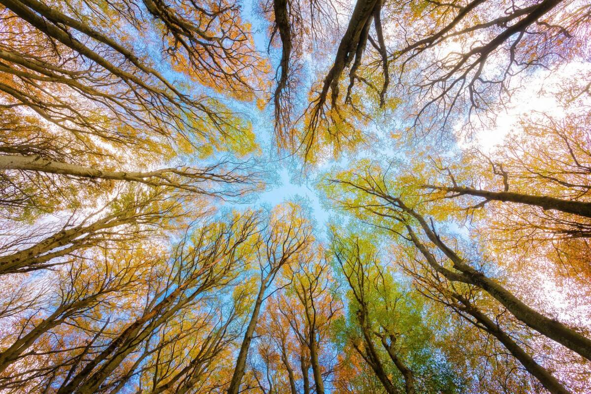 Evaluation environnementale : vers un élargissement des projets soumis via la mise en place d’une « clause-filet »